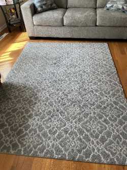 Area Rug