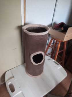 Cat Tunnel