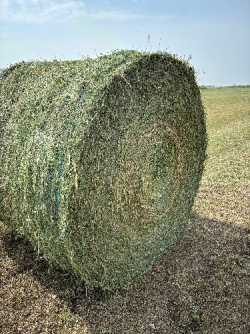 Hay for sale