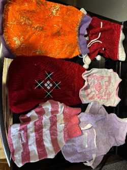 Dog clothes lot