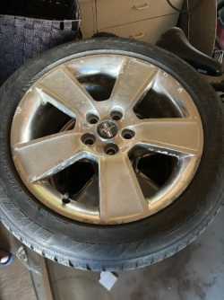 Mustang Rims 