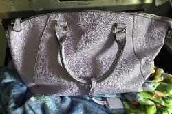 purple purse 